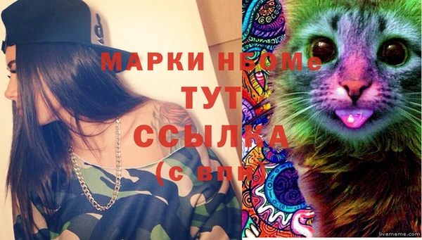 шишки Майский