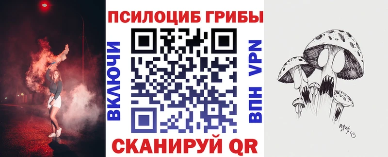 Псилоцибиновые грибы Psilocybe  Духовщина 